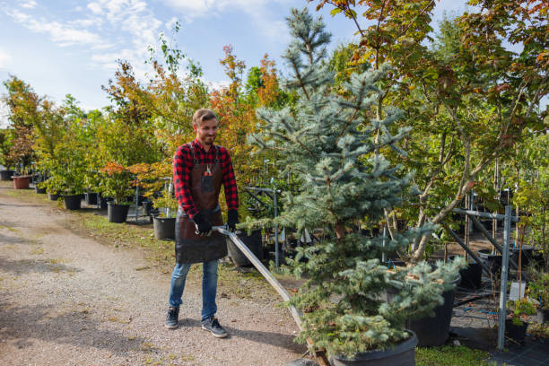 Best Leaf Removal  in Crafton, PA